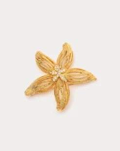 Frances Valentine Gold Starfish Brooch> Jewelry